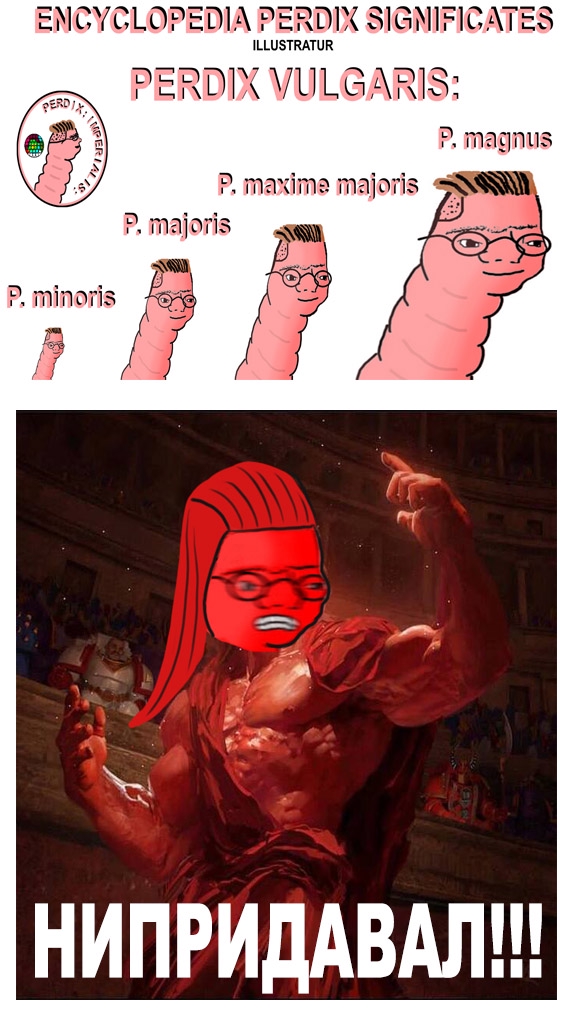 572x1024