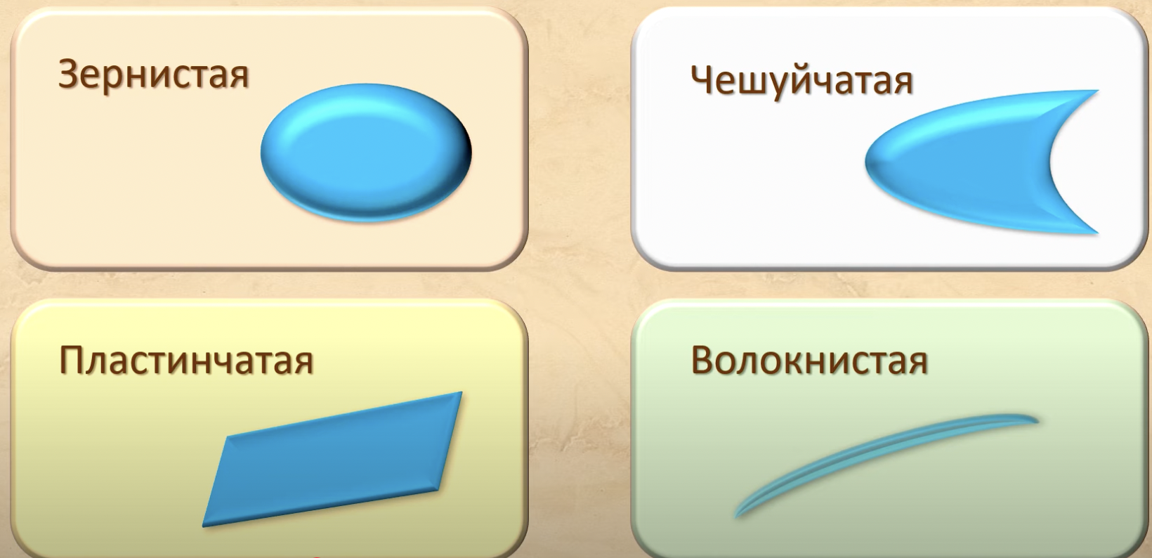 1640x794