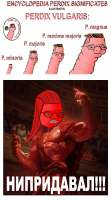 572x1024