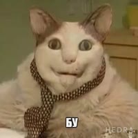 512x512