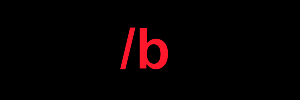 300x100