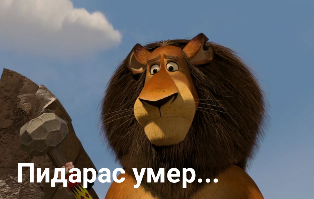 1080x686