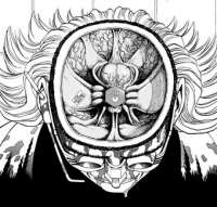 340x325