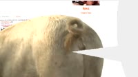 640x360