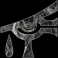 320x320