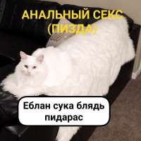 1080x1080