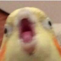 300x300