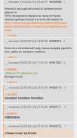 720x1275