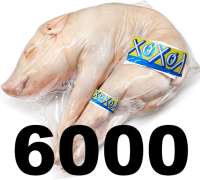 600x540