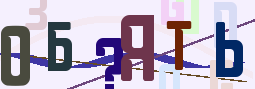 255x89