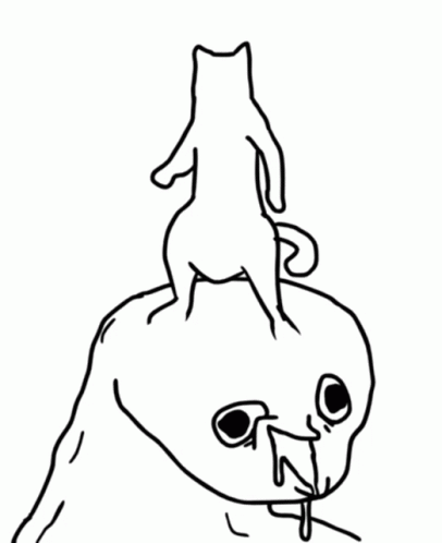 406x498