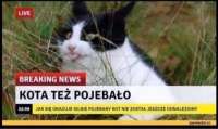 720x430