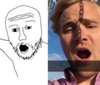 395x337