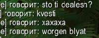 210x81