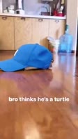 360x640