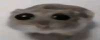 320x128