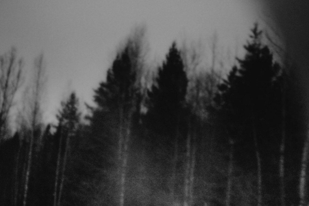 1024x683