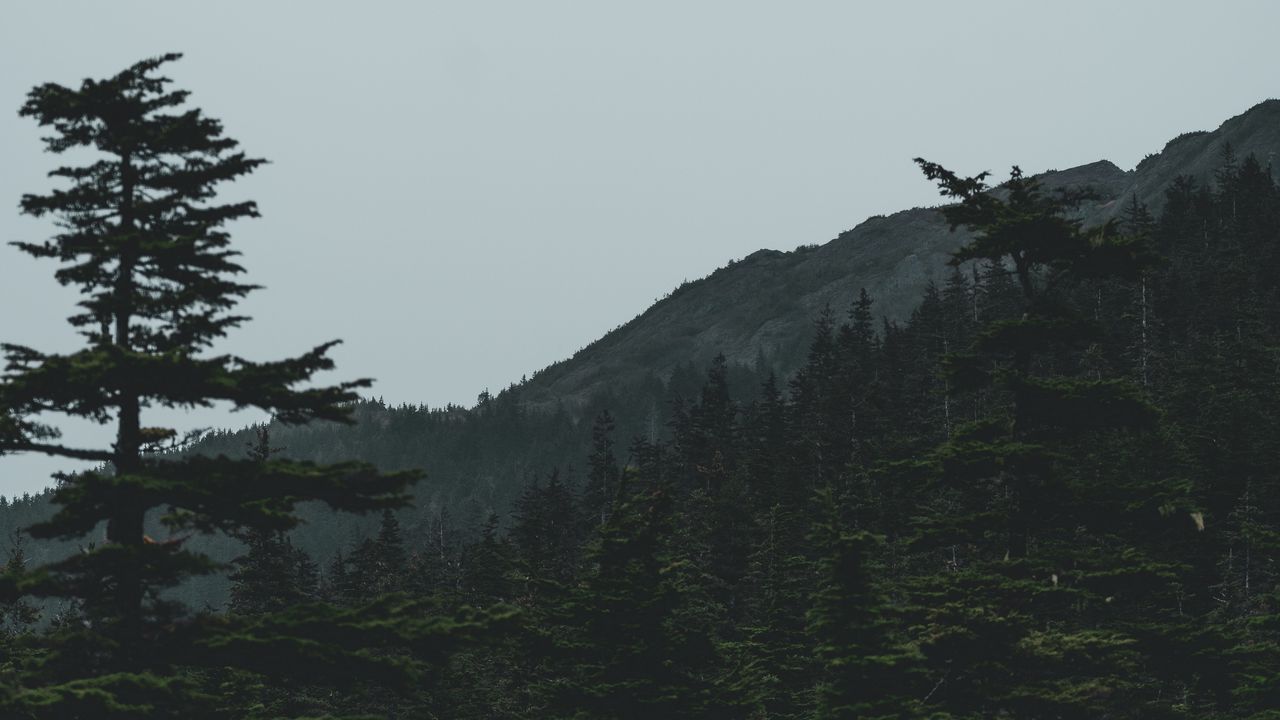 1280x720