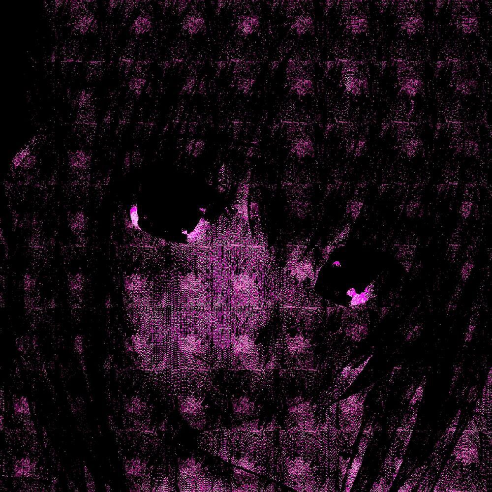 1000x1000