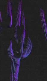 1242x2127