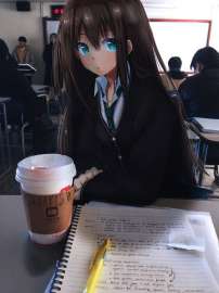 736x981