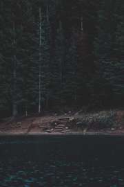 1280x1920