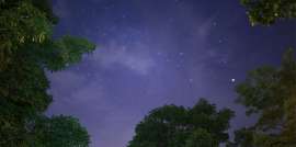 2917x1458