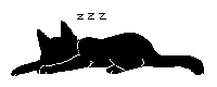 200x80