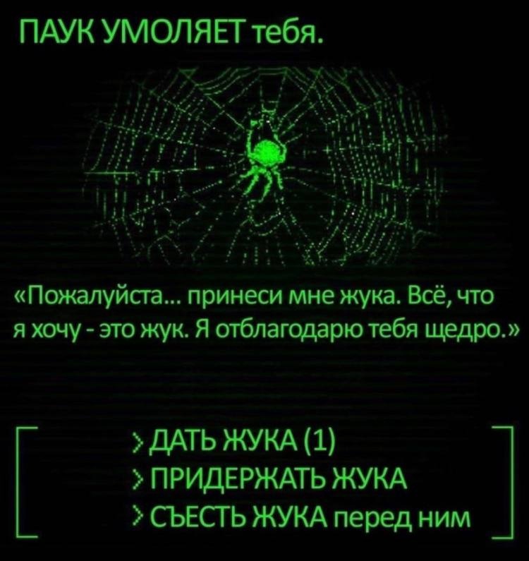 750x795