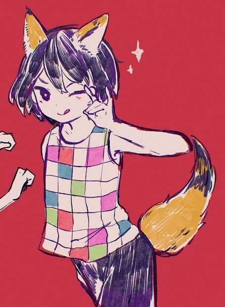 455x621