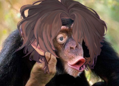 480x347