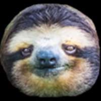 300x300
