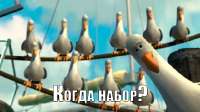 480x269