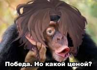 480x347