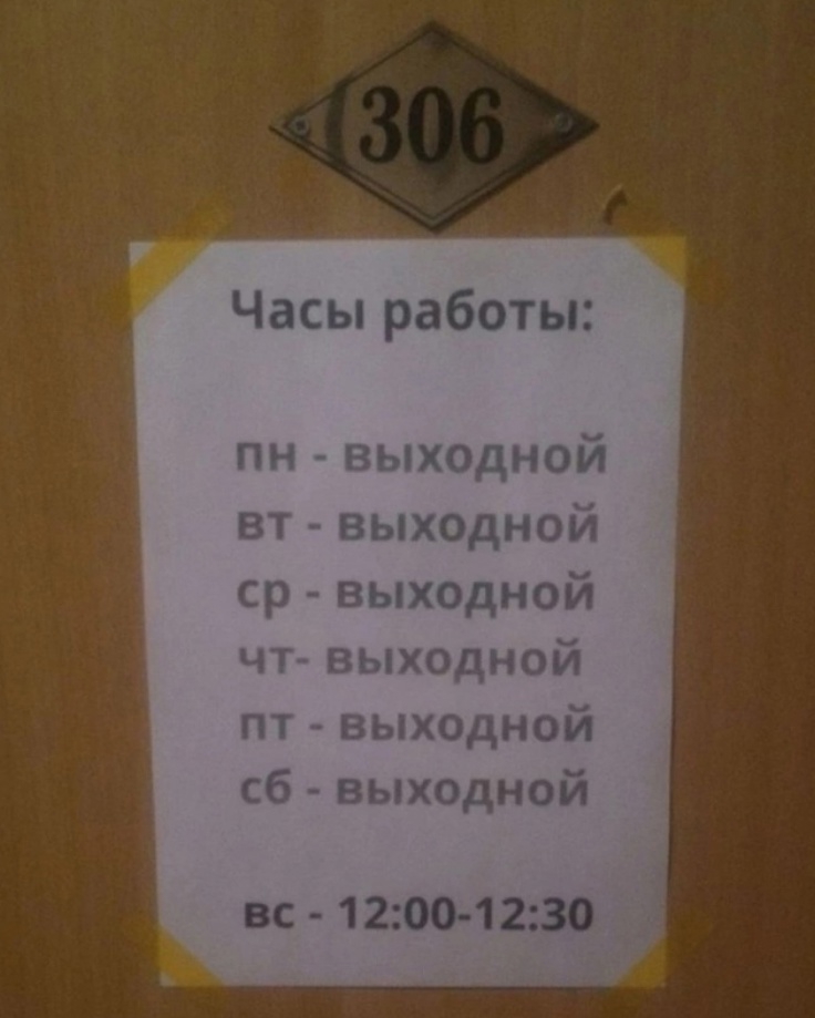 736x919