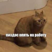 755x755