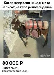 700x961
