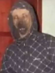 946x1253
