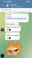 720x1291