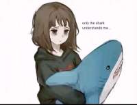 736x569