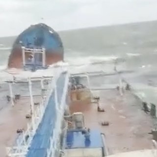 320x320