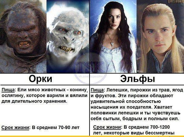 604x449