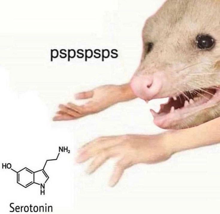 735x716