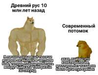 1024x789