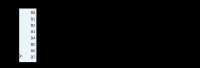 748x257