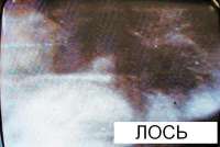 600x403
