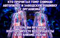 1230x781