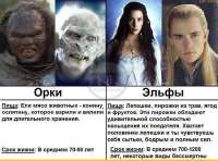 604x449