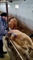 360x638