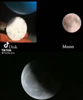 480x572